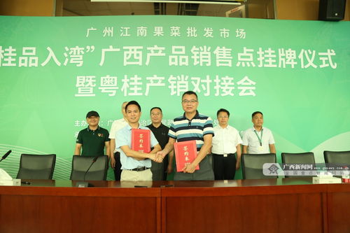 深化合作譜新篇 粵桂消費協作再升級，“桂品入灣”助推區域發展